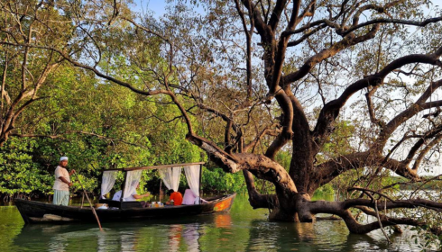 Sundarban Travels: Exploring the Untamed Beauty of the Mangroves